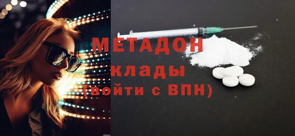 сатива Беломорск
