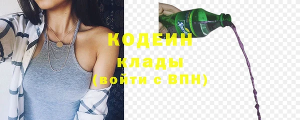 сатива Беломорск