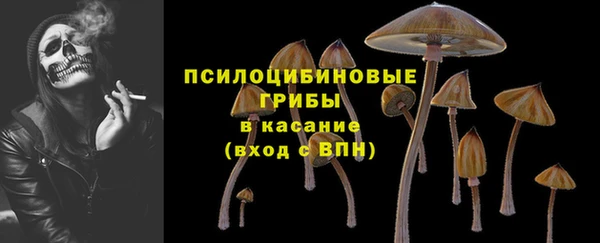 сатива Беломорск