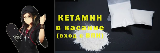 сатива Беломорск