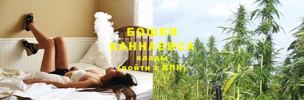 бутират Белокуриха