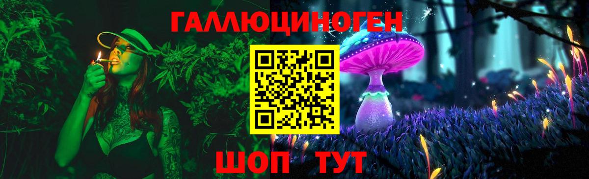 Галлюциногенные грибы ЛСД  Горячий Ключ  наркота  Псилоцибиновые грибы Psilocybine cubensis 
